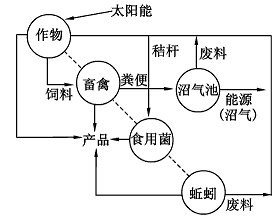 http://picflow.koolearn.com/upload/papers/g06/20111121/201111210929196255380.gif